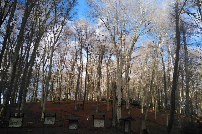 Erasmus project BESTNATURE Forests in focus